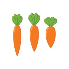 Carrot Vegetable Icon Set. Flat Illustration of Carrot Isolated on White Background. Fresh and Healthy Vegetable Carrot Symbol.
