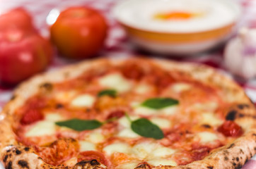 Great background for culinary themes, handmade pizza with daisy flavor on checkered Italian style towel background with different ingredients
