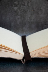 Romantic old retro vintage open book with blank pages with copy space