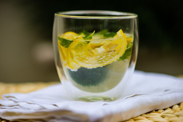 Gin and tonic cocktail with lemon and mint