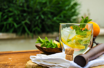 Gin and tonic cocktail with lemon and mint