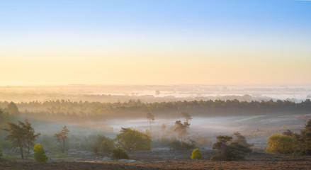 fog morning with windmills at sunrise