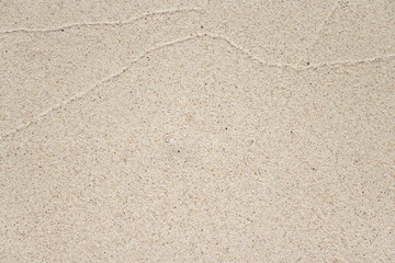 Sea beach sand texture background