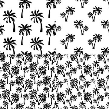 Black palm trees silhouette seamless pattern isolated on white background set.