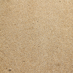 Sea beach sand texture background