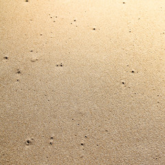Sea beach sand texture background