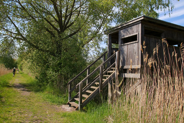 A bird watching tower in nature reserve "Linum", federal state Brandenburg - Germany