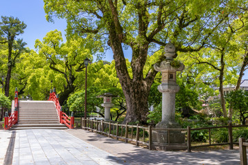 太宰府天満宮　福岡県太宰府市　Dazaifu Tenmangu	Fukuoka Dazaifu city