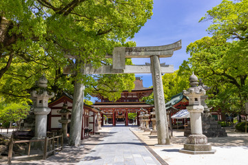 太宰府天満宮　福岡県太宰府市　Dazaifu Tenmangu	Fukuoka Dazaifu city