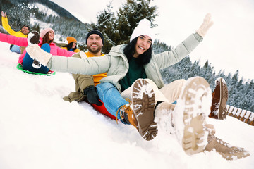 Fototapeta na wymiar Group of friends having fun and sledding on snowy day. Winter vacation