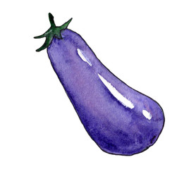 Hand-drawn watercolor illustration of eggplant. Vegetable on a white background