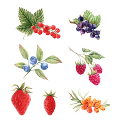 Beautiful set with watercolor hand drawn berry paintings. Stock illustration.