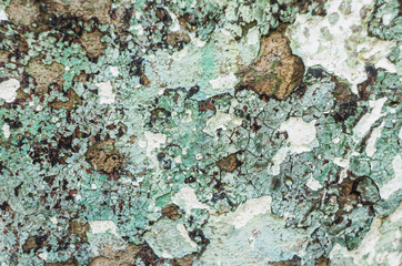 Abstract colorful cement wall texture. Grunge background.