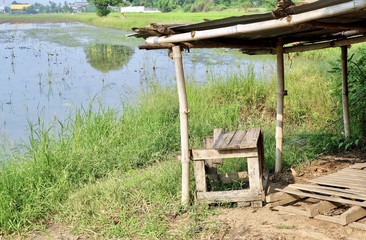 The Empty Paddy Filed with Wooden Hut