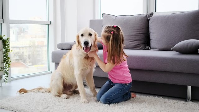 Pretty little girl hugging cute domestic dog in bright room