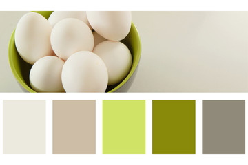 Eggs in green bowl in a colour palette, with complimentary colour swatches