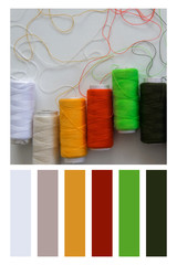 Top view of colorful sewing threads in a colour palette, with complimentary colour swatches