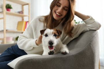 Young woman with her cute Jack Russell Terrier on sofa at home. Lovely pet