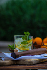 Gin and tonic cocktail with lemon and mint