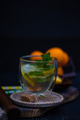 Gin and tonic cocktail with lemon and mint