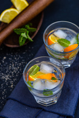 Gin and tonic cocktail with lemon and mint