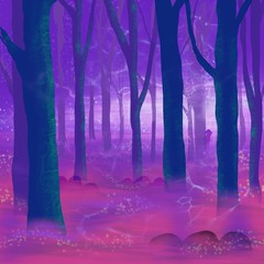Magical forest in the night