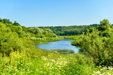 Fototapeta na wymiar river valley among green banks