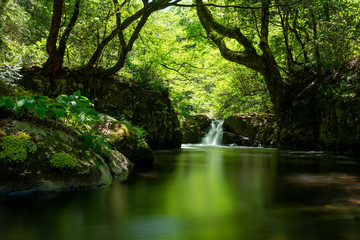 Fototapeta na wymiar 春の渓流と滝