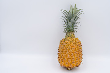 写真素材: 石垣島のパイナップル