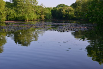Fototapeta na wymiar Riverside Park in Horley, Surrey in May. 