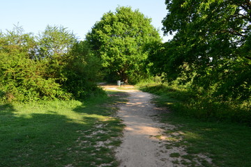 Fototapeta na wymiar A scenic walk thought Riverside Park in Horley, Surrey in May.