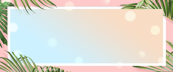 website banner with pink background, euclidean and palm leaves border