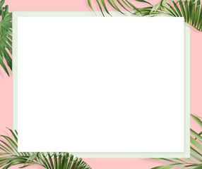Fototapeta na wymiar website banner with pink background, euclidean and palm leaves border