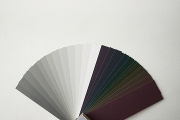 カラフルな配色カード