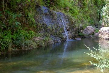 Naklejka na ściany i meble A lake with a small waterfall surrounded by many plants