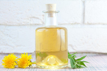 dandelion essential oil in  beautiful bottle on White background