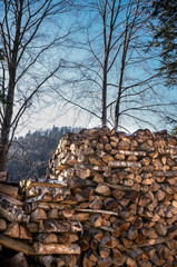 Heap of wooden logs outdoors