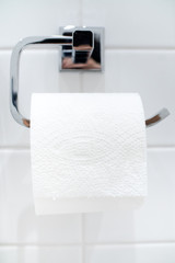 white toilet paper on metal holder in restoom