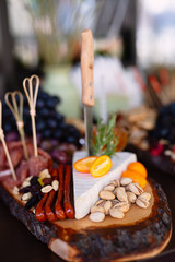 Appetizing food lies on a wooden shelf, cheese, nuts and much more are laid out in small portions, a knife sticks out in the background