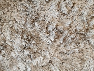 The big light brown carpet is​ very soft.