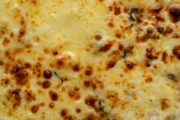 Closeup of homemade vegetarian pizza with tomatoes and mozzarella cheese on surface.