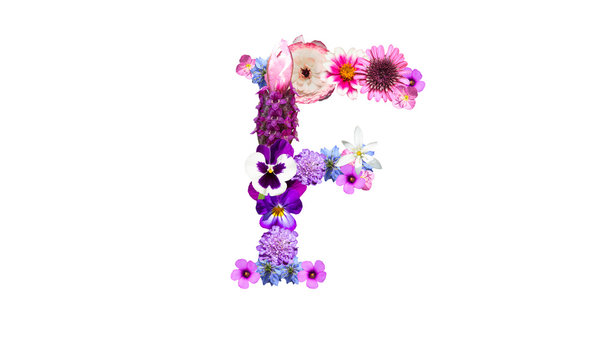 花文字 Photos Royalty Free Images Graphics Vectors Videos Adobe Stock