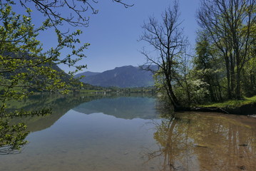 Frühling am Schliersee in Oberbayern, Germany