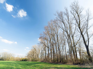 Fototapeta premium Landschaft Oberelchingen