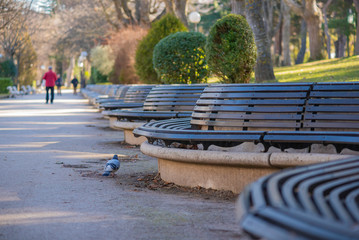 Obraz premium Wooden benches in park of Alameda de Cervantes (Soria, Spain).