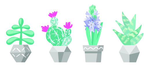 Vector set of succulents in pots. Home plants, home garden, topiary. Flat illustration isolated on a white background.