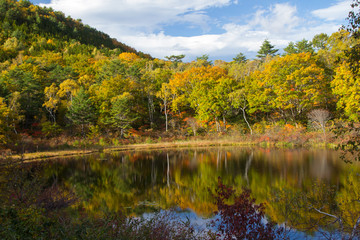 志賀高原・一沼の紅葉／長野県山ノ内町