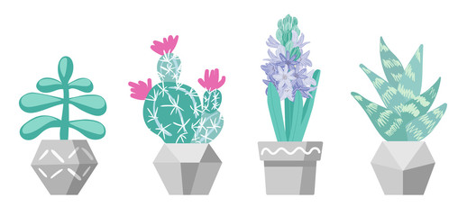 Succulents in pots. Home plants, home garden, topiary. Flat illustration isolated on a white background. RGB