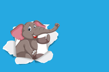 Background template design with wild elephant on blue paper
