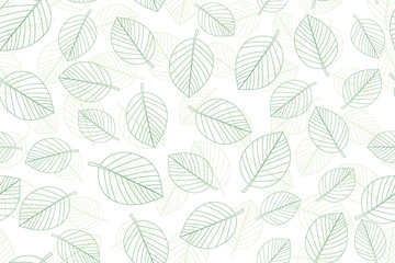 Green leaves seamless background on white background. Vector illustration.